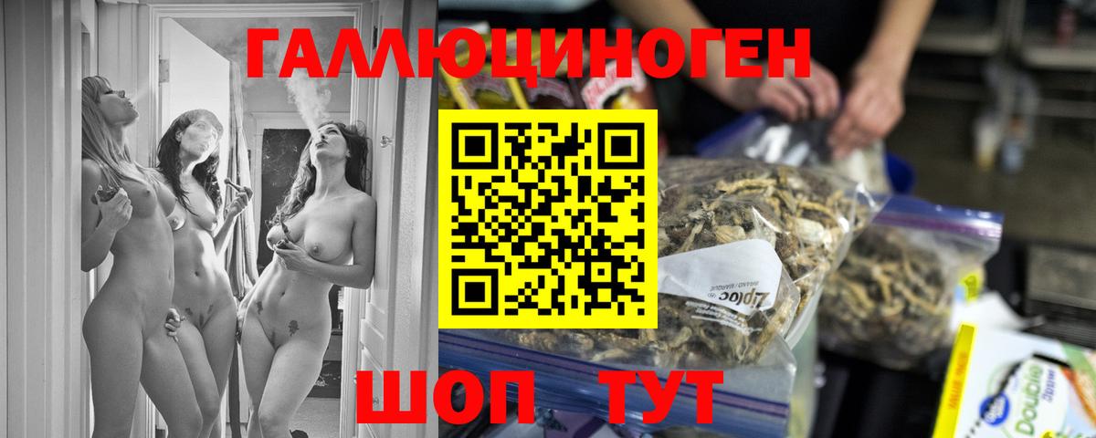 Омск  Галлюциногенные грибы прущие грибы  Вход с VPN 